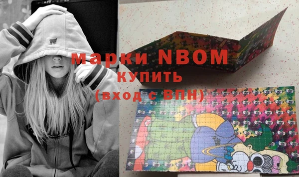 хмурый Алексин