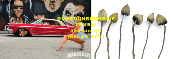 хмурый Алексин