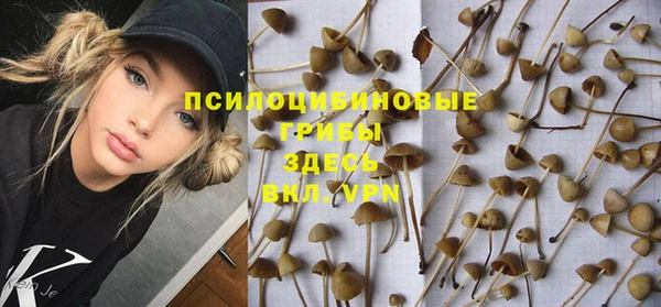 хмурый Алексин