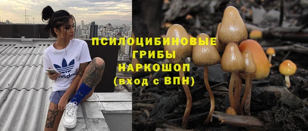 мдпв Остров