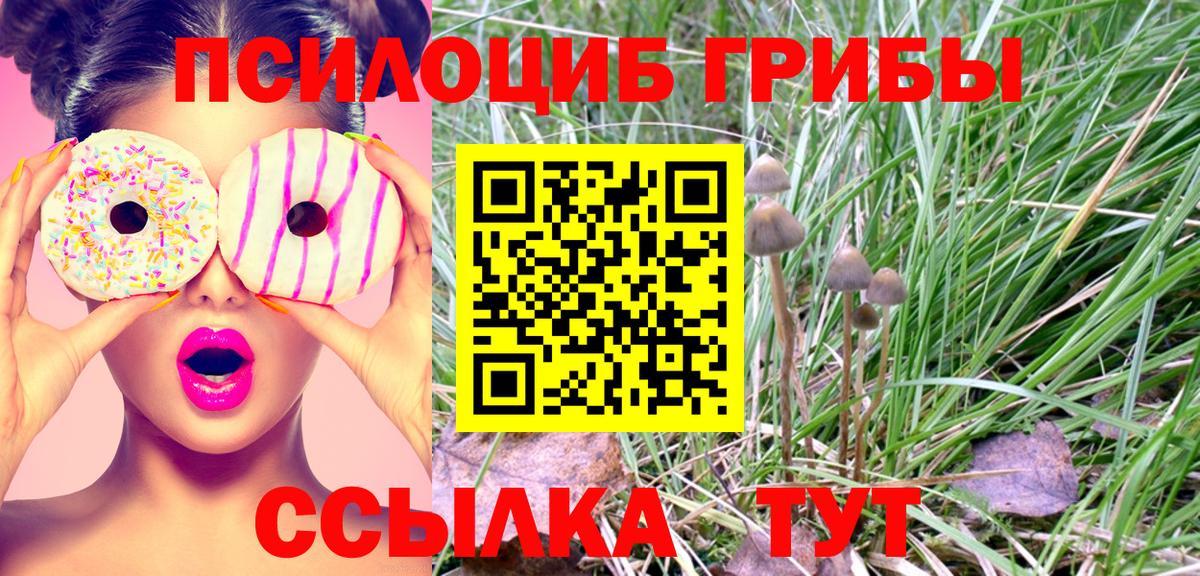 Шахты  Псилоцибиновые грибы мухоморы  Вход с VPN  Псилоцибиновые грибы ЛСД 